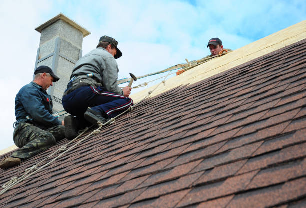 Best Roof Gutter Cleaning  in Lewiston, MN